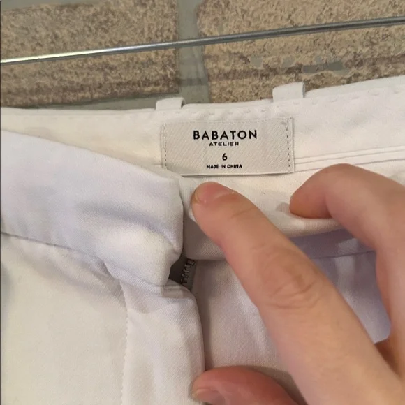 Aritzia Babaton Revue Pant
High-waisted pleated pants - Picture 5 of 15